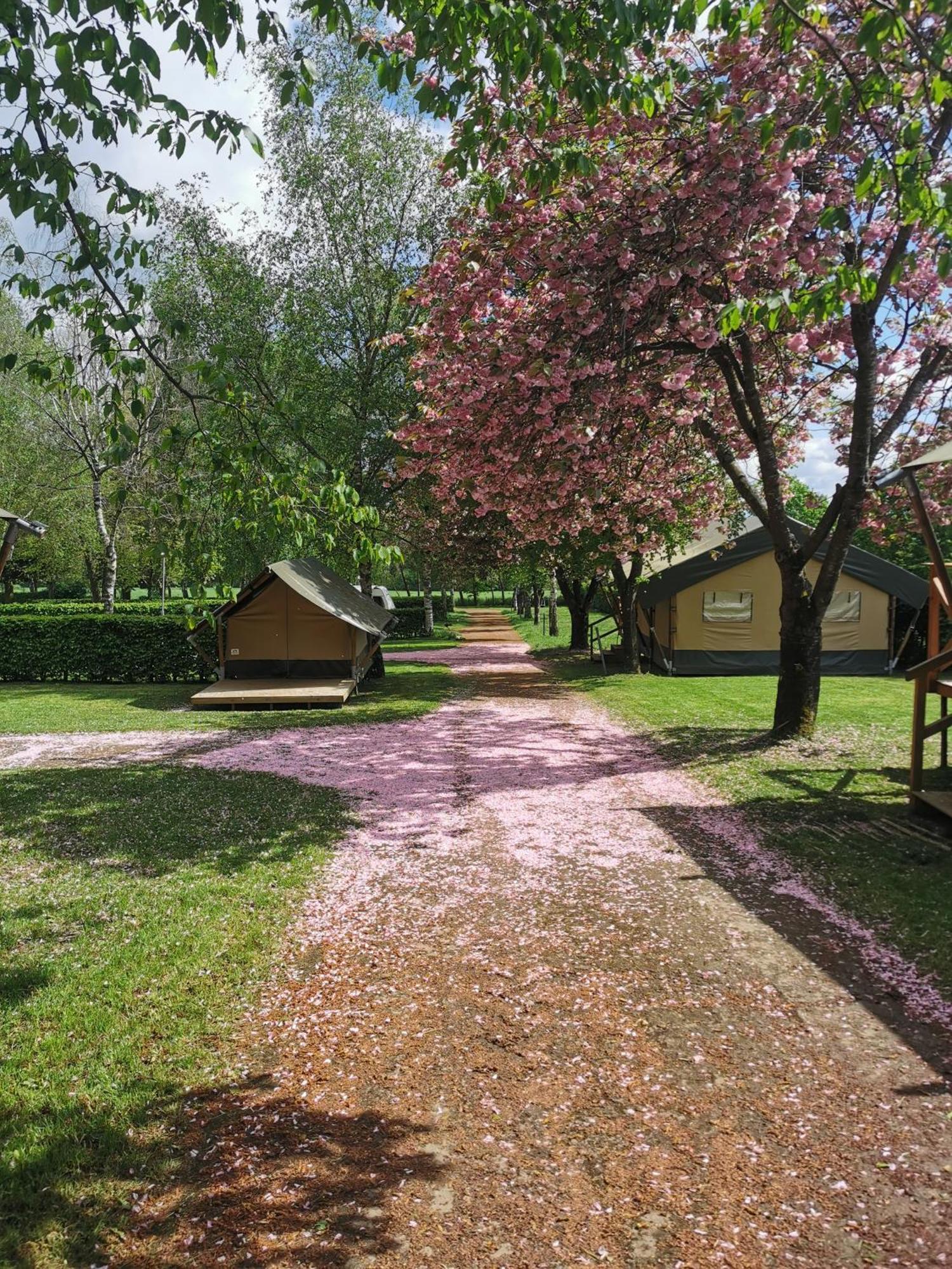 Safari Tent Xs - Camping Belle-Vue Hotell Berdorf Exteriör bild